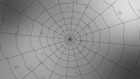 Explosion of pieces of a concentric web on a gray background, scatter in Stock-Illustration