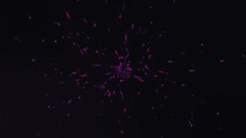 Explosion of pink red particles in sky Video stock 259684846