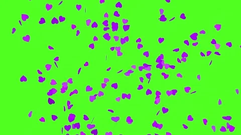 Explosion of purple hearts on green screen. Video stock 248074686