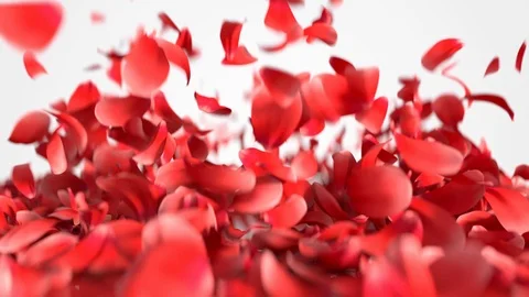 Explosion of red flower petals with alpha matte. Close up 3D render of floral fl Video stock 123104672