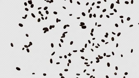 Explosion of Roasted Coffee Beans with alpha channel Stock Footage 341960089