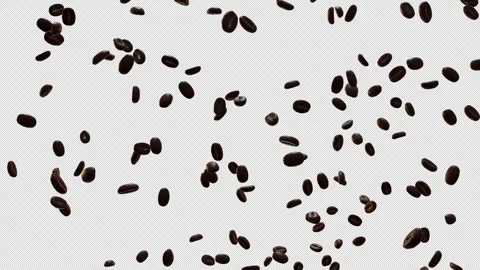 Explosion of Roasted Coffee Beans with alpha channel Stock Footage 341960098