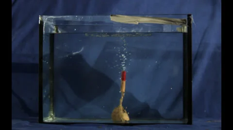 EXPLOSION IN SMALL WATER AQUARIUM Stock Footage 25297297