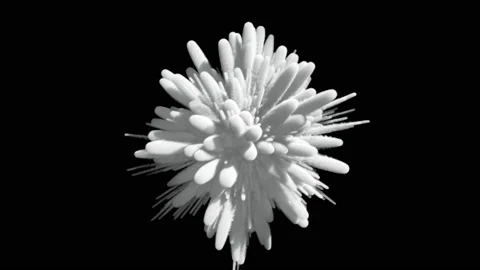 Explosion of smoke.Slow motion. Stock Footage 88575778