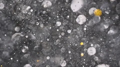 An explosion of sparkling dust. Splash of shiny particles on a black background. Stock Footage 269708423