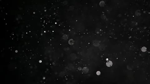 An explosion of sparkling dust. Splash of shiny particles on a black background. Vídeo Stock 269708464