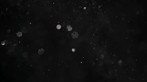 An explosion of sparkling dust. Splash of shiny particles on a black background. Vídeo Stock 269708499