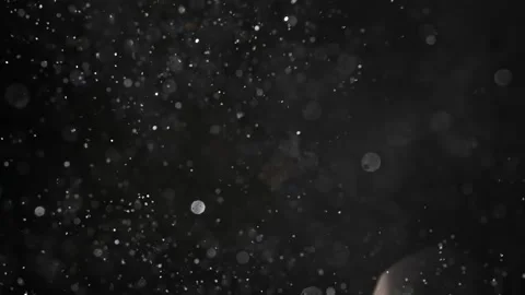 An explosion of sparkling dust. Splash of shiny particles on a black background. Vídeo Stock 269708542