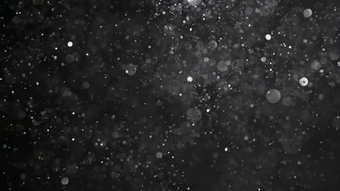 An explosion of sparkling dust. Splash of shiny particles on a black background. Vídeo Stock 269708552