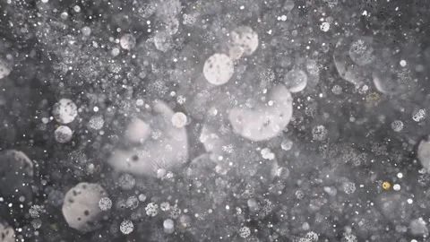 An explosion of sparkling dust. Splash of shiny particles on a black background. Vídeo Stock 269708584