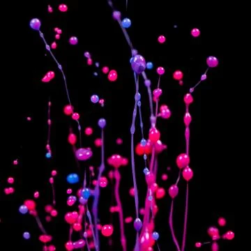 Explosion of splashes and bursts of colour fluid paint or ink on a black back Stock Photos