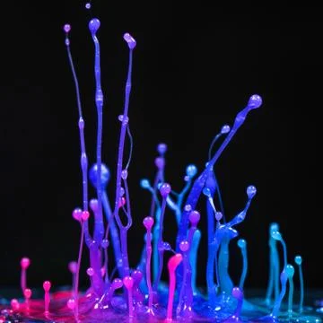 Explosion of splashes and bursts of colour fluid paint or ink on a black back Stock Photos