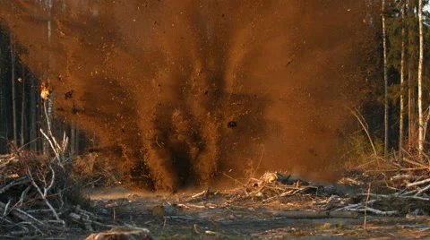 Explosion. Uprooting stumps 4K video Video stock 43128346
