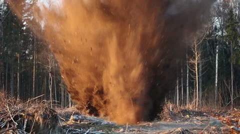 Explosion. Uprooting stumps. Video stock 43127601