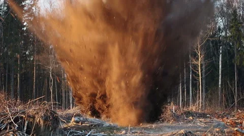 Explosion. Uprooting stumps. Stock Footage 43260172