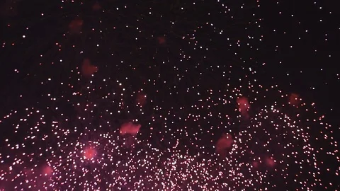 Explosions of beautiful fireworks in the sky Vidéo 82369451