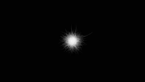 Explosive growth of white lines from the center of the screen on a black Stock Footage 120808718