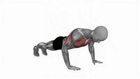 Explosive push ups fitness exercise workout animation male muscle highlight 4K Stockbeeldmateriaal 243986193