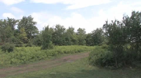 Explosives detonated in controlled explosion Video stock 8954980