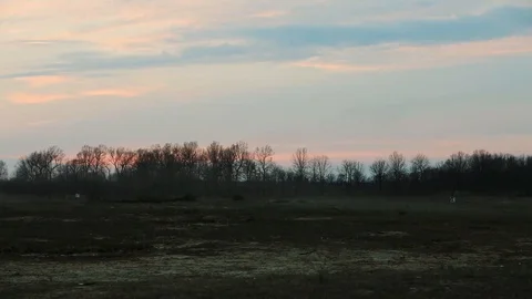 Explosives set off in a large open field near a forest Vidéo 114019448