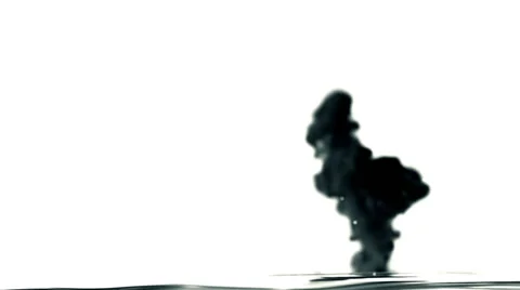 Explotion of black ink on white background Stock Footage 63252433