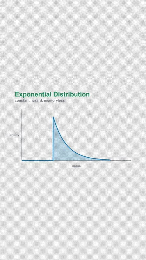 Exponential Distribution Labeled Statistical Distribution 4K Vertical 9x16 Light 動画素材 339496162