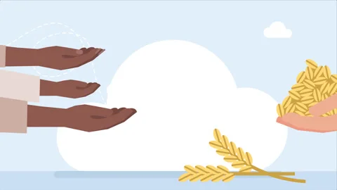 Export of grain. Hunger in poor countries. Man is asking for alms. Food crisis Stock Footage 247455916