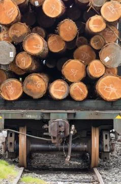 Export - Logs on a rail car ready for export out of the country. Stock Photos