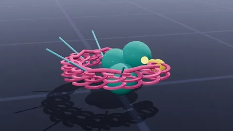 Export receptor molecular biology 3d loop 3D animation seamless loop Stock Footage 341733713
