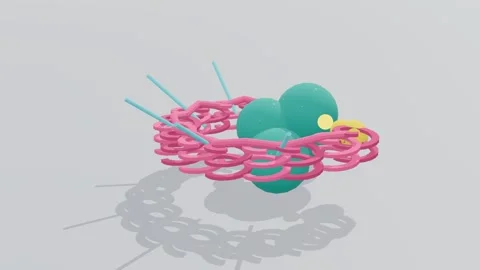 Export receptor nuclear transport 3d loop white background 3D animation Stock Footage 341850211