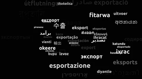 Export Translated in 54 Worldwide Languages Endless Looping 3d Zooming Wordcl Video stock 145200029