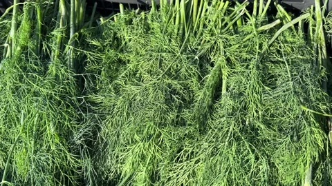 Exported Copper in a Crate Video stock 284208156