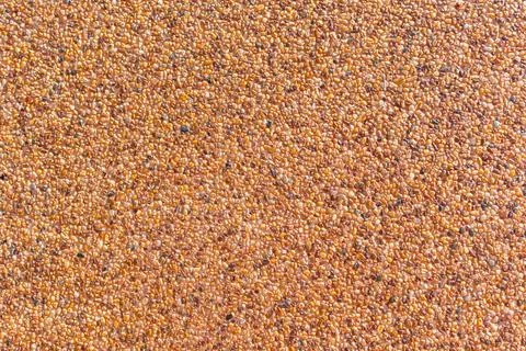 Exposed Aggregate Concrete Texture Stock Photos