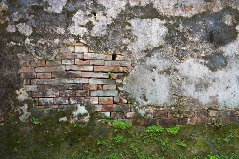 Exposed brick on a wall 스톡 사진