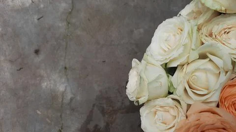 Exposed cement background with white rose ornament 02 Stock Photos