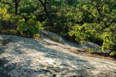 Exposed granite hillside Stock Photos
