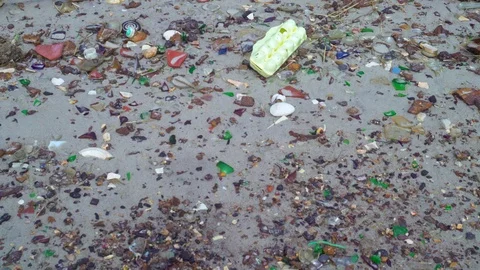 Exposed ground of the polluted sandy beach with trash debris and dry grass. Vídeo Stock 89860202