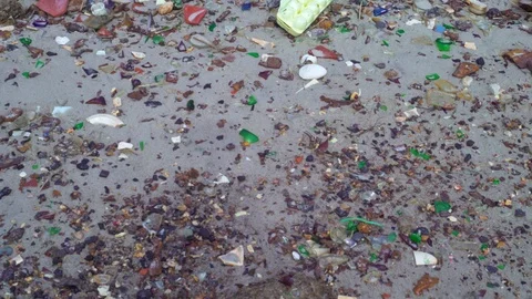 Exposed ground of the polluted sandy beach with trash debris and dry grass. Video stock 89860205