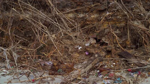 Exposed ground of the polluted sandy beach with plastic and glass trash debris. Stock Footage 89860236