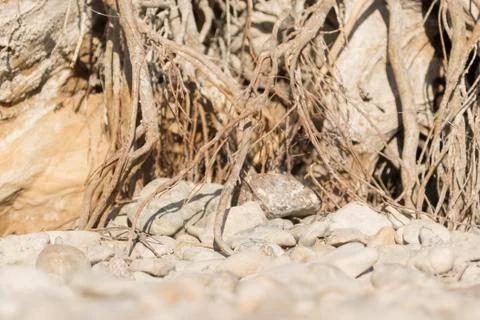 Exposed  写真素材