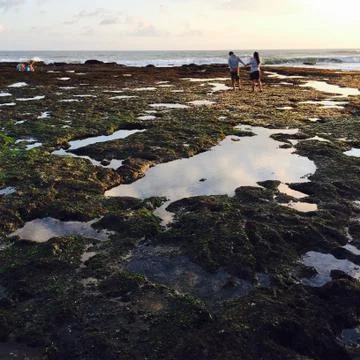 Exposed reef Stock Photos
