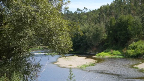 Exposed river bed during drought on River Ave in Portugal. Stock Footage 248457866
