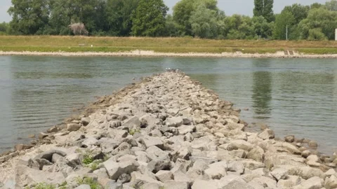 Exposed Rock Groyne During Low Water on the Rhine River, Germany Stock Footage 341866457