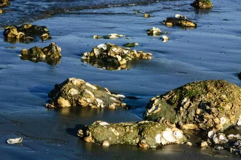 Exposed Rocks Stock Photos