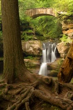Exposed tree roots in front of Upper Falls at Hocking Hills State Park, Ohio. Stock Photos