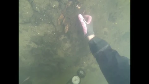 Exposing fish fences - Divers expose fish fences in the Tollense River Part 2 Stock Footage 300107638