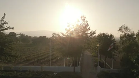 Exposing the sunset with trees and flags as foreground Stock Footage 318064384