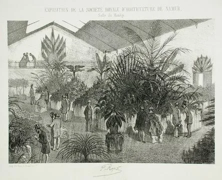 Exposition de la Socit Royale d'Horticulture de Namur. Flicien Victor Josep.. Stock Illustration