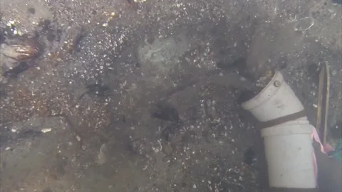 Exposure of the Bronze Age find layer in the river - shard and shoulder blade Stock Footage 297545521