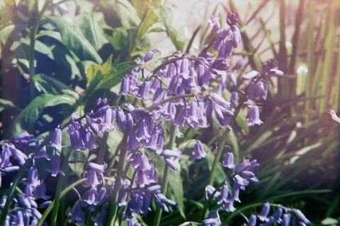 Exposure Stock Photos